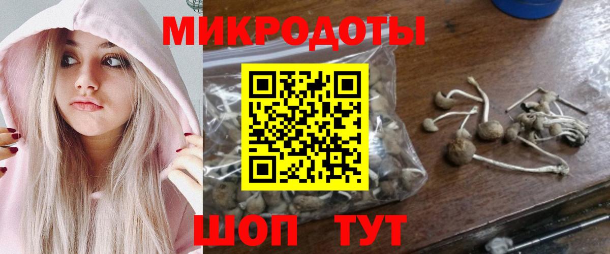 Псилоцибиновые грибы мухоморы  Вход с VPN  Псилоцибиновые грибы Psilocybe  Елец 